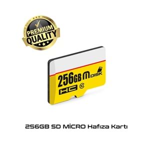 Auris 256GB Sd Micro Hafıza Kartı