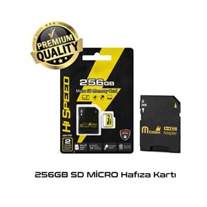 Auris 256GB Sd Micro Hafıza Kartı