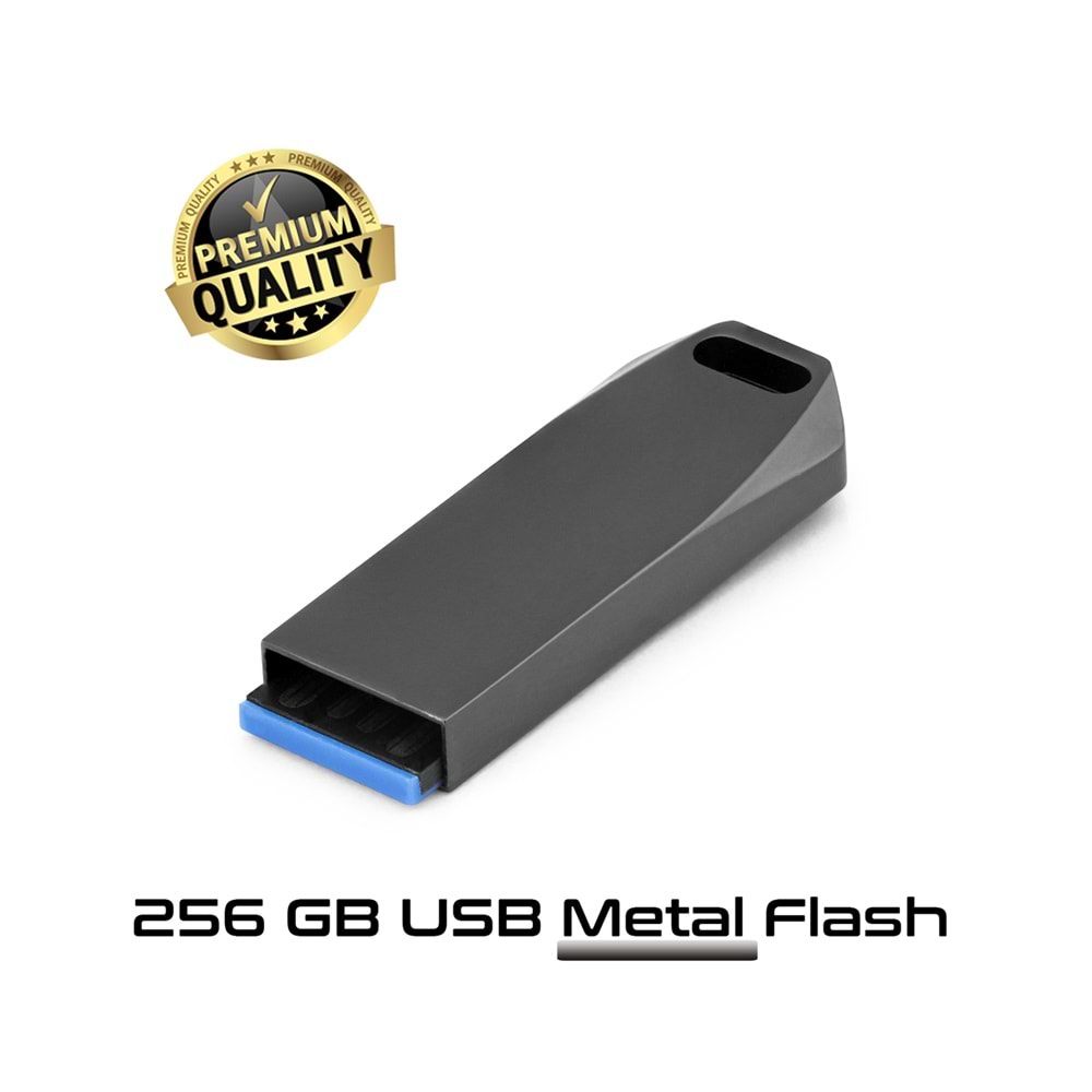 Auris 256GB USB Bellek